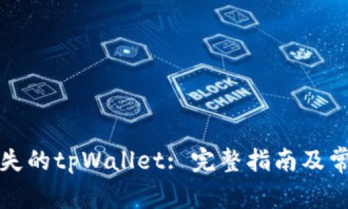 如何找回丢失的tpWallet: 完整指南及常见问题解答