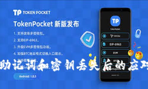 tpWallet助记词和密钥丢失后的应对解决方案