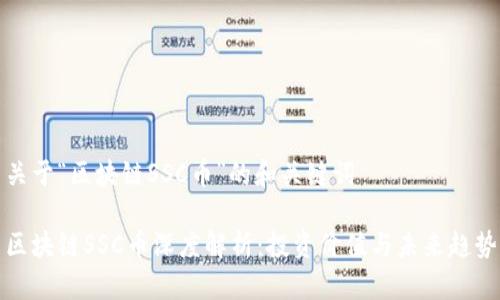 关于“区块链SSC币”的和关键词

区块链SSC币深度解析：投资价值与未来趋势
