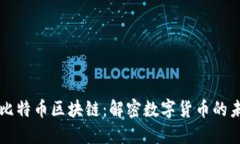 深入探讨比特币区块链：解密数字货币的未来与
