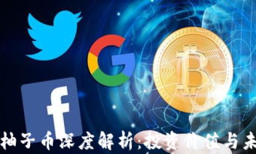 
区块链柚子币深度解析：投资价值与未来趋势