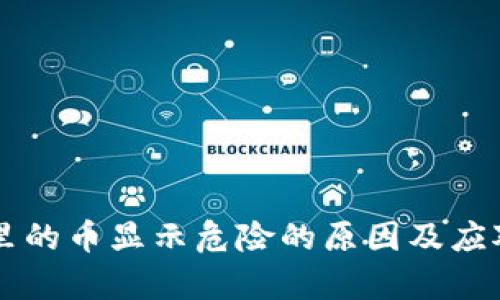 tpWallet里的币显示危险的原因及应对策略解析