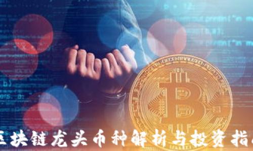 
区块链龙头币种解析与投资指南