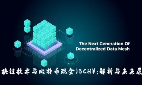 区块链技术与比特币现金（BCH）：解析与未来展望