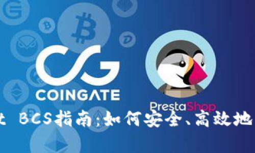 最全面的tpWallet BCS指南：如何安全、高效地管理您的加密资产