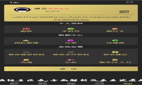 区块链主区币：全面解析及未来发展趋势