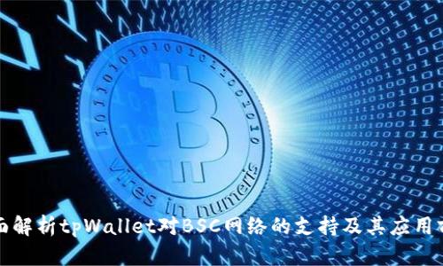 全面解析tpWallet对BSC网络的支持及其应用前景