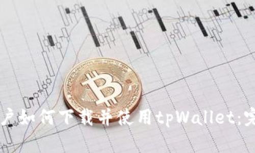 苹果用户如何下载并使用tpWallet：完整指南