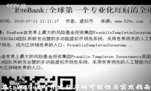 
在tpWallet内开发程序的可能性与实践指南