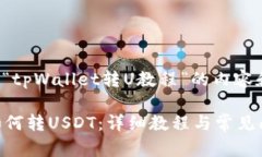 以下是关于“tpWallet转U教