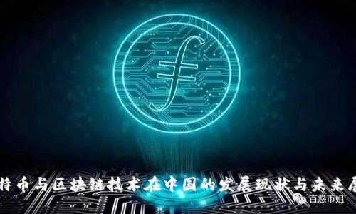 比特币与区块链技术在中国的发展现状与未来展望